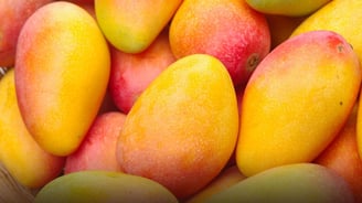 African Mango