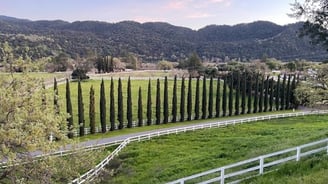 Rolling vineyards and golden hills of Santa Ynez Valley — a stunning blend of ranch life, wine count