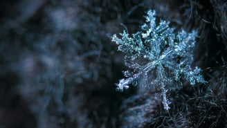 Close up of an icicle