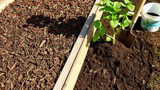Crie sombras com materiais caseiros. Proteja suas plantas do sol forte gastando pouco.