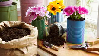 Reaproveite vasos e terra para cultivar flores. Soluções econômicas e sustentáveis.