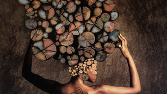 Fine art photography courses explore creative portraiture with mixed media and artistic expression.