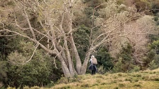 Photographer standing beneath tall trees in a natural forest during a Swellendam photography retreat.
