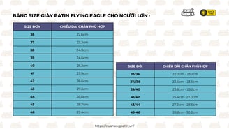 hình ảnh thông số size giày patin người lớn của hãng flying eagle