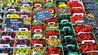 Terapia ortomolecular o nutricional