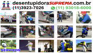 serviços da suprema desentupidora