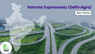 Popidea yamnua expressway