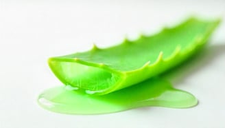 Aloe vera - gel collant