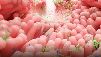 Balanced Microbiome