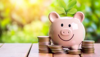 happy piggy bank with coins by it and a leaf sprouting on it for growth and wealth