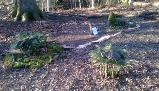 Trail
