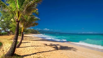 Maui: Stunning golden beaches and lush landscapes in Hawaii