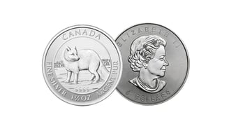 canadian arctic fox silver coin