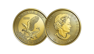 gold canadian eagle coin
