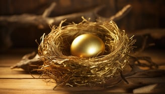gold retirement nest egg and if its better than a 401k