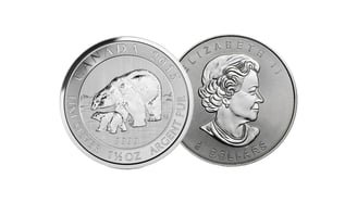 silver polar bear coin