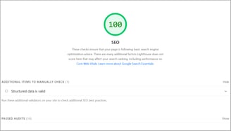 Screenshot of Google PageSpeed Insights showing 1664 Training Solutions scores 100% on SEO