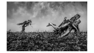 Sujan Sarkar Street Photography 93