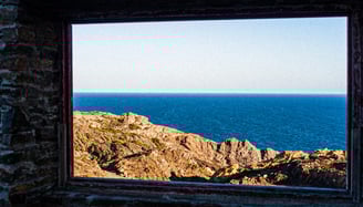The window