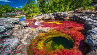 Caño Cristales en Colombia