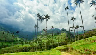 Valle del Cocora en Colombia