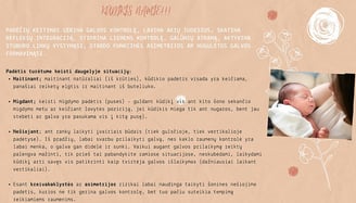 Naujagimis