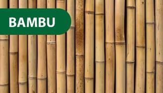 Bambu