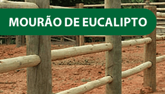 Mourão de Eucalipto