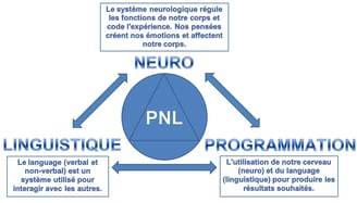 cercle bleu avec inscriptions PNL au centre et autour Programmation Neuro Linguistique