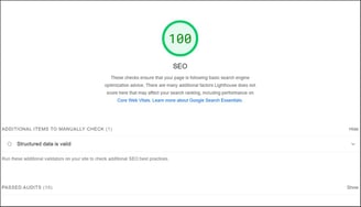 Screenshot of PPSL's website scoring 100% on SEO section of Google PageSpeed Insights tool