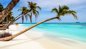 Paisagem paradisíaca nas Ilhas Cayman com águas cristalinas e areia branca