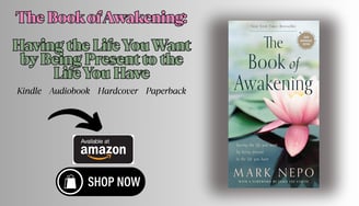 a book cover 