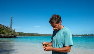 Nicolas Job looking at a seaweed, Ile des Pins, New Caledonia