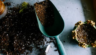 Houseplant soil with a scoop