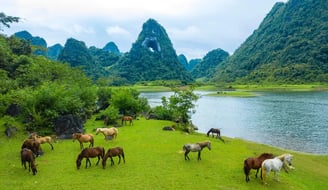 Nông trại sạch của Mế Farmstay Núi Thủng