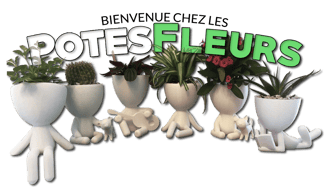Collection de pots de fleurs mignons
