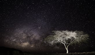Nightscape, Voie Lactée, Milky Way, Via Lattea, Paysage Etoilé, Starry Landscape, Paesaggio stellato