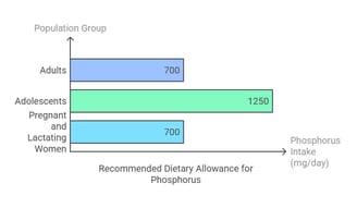 phosphorus dietary allowance