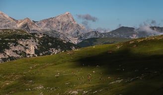 Les habitantes sous les Tre Cime