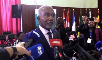 Nigerian Foreign Minister