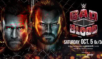 wwe bad blood drew vs cm punk