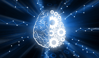 Fonctionnement du cerveau et schémas inconscients grâce au DNR