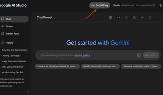 Google AI Studio Website Get API