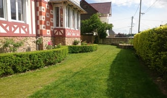 Jardin avec pelouse verdoyante et haies taillées, résultat d’un engazonnement soigné