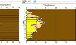 Porosity with depth distributions