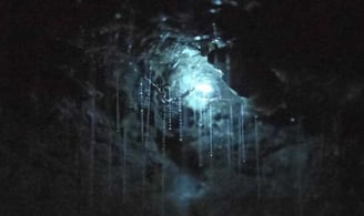 Glow worms in Tasmanian cave