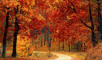 Mejores destinos en otoño en Estados Unidos