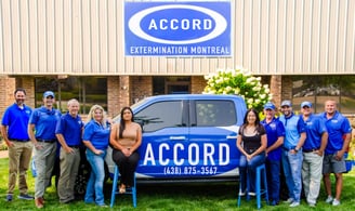 Accord Extermination pest control team available in Westmount
