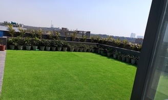 Artificial Grass