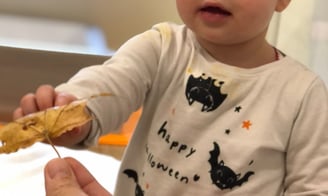 enfant qui prend une feuille